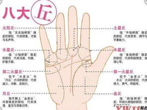 有哪些关于手相的书籍可以教我如何识别有偏财运的手相？