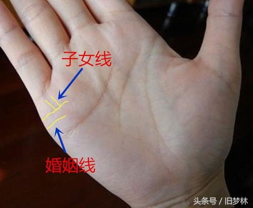 六、  综合研判：婚姻线与其他线条的协同作用