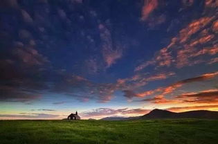 #上热门 与生活中的不期而遇之美