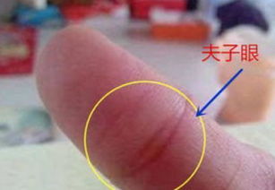 （1）食指较长度——野心、 自信及领导潜能