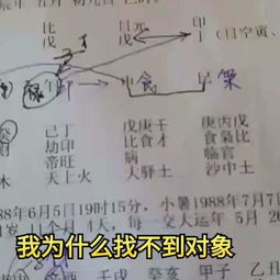 如何通过风水八字视频分析，改善我的住房风水布局？