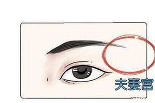 五、下巴饱满：安稳幸福晚年