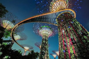 滨海湾花园：DNA构造的奇幻世界