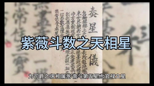 第一趴：有钱没钱全看星星脸色！