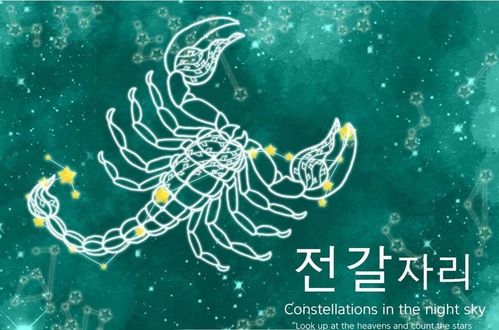 天蝎座：移动的北极圈尊享版