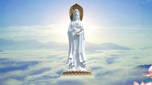 观音72工作稳定吗？长期从事是否可靠？