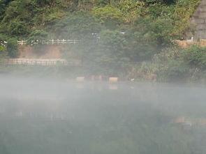 探索雾漫小东江：清晨的雾气，  独享的宁静