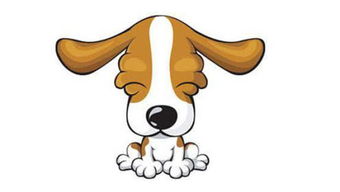 2026年属狗人的吉凶星位和生肖运势会有哪些影响？