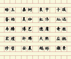 怎样挑选与辉字搭配最佳的男孩名字字眼？