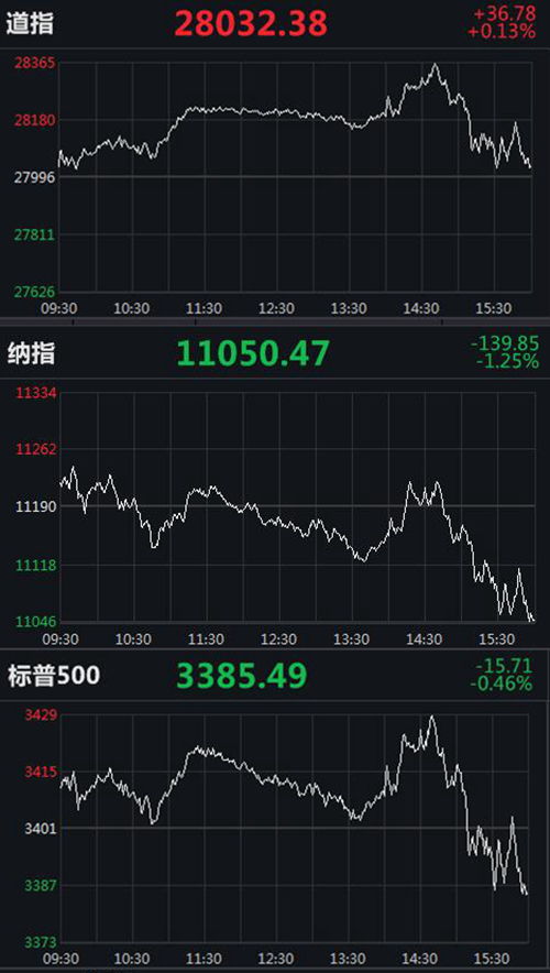 按兵不动指的是哪个生肖？