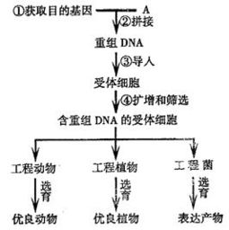 一、 理论渊源：天人合一理念的双向映射
