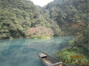 第一天：杭州不挤西湖， 走一条本地人都躲的细较小路