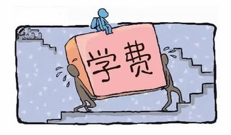 4．不点真龙乾坤穴