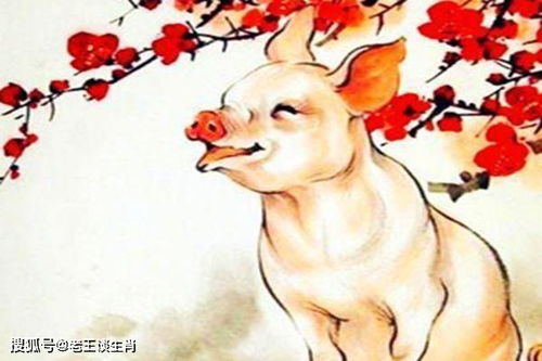 天真无邪的生肖中，有没有开过某个生肖的先例呢？