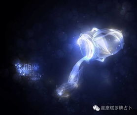 第二章　水瓶座——独立思想家