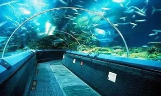 血泪史！这些坑千万别踩