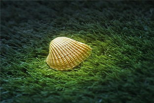 梦见牡蛎预示着什么？周公解梦中的牡蛎有何特殊含义？