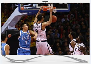 CBA赛场风云变幻之易学解析与生肖运势流变考论