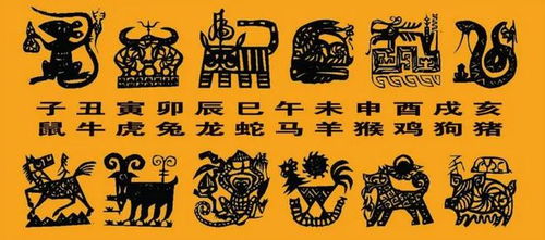 看字代表什么生肖，这个生肖又对应着哪个生肖？