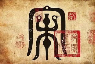 紫相文化算命真的准确吗？算命后说转运会灵验吗？