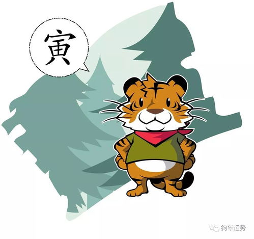 属虎2026年佩戴何饰物，属猪的人又应佩戴哪种物品呢？