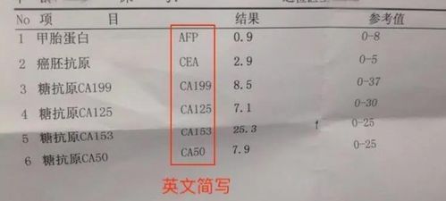 肝功能异常与身体四肢变黑的医学与传统文化视角
