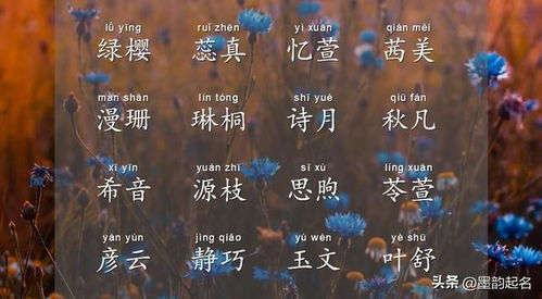 四、随机拼接法——不讲道理，只讲感觉！🚀🚀🚀