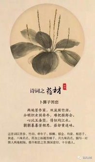 失控与困境