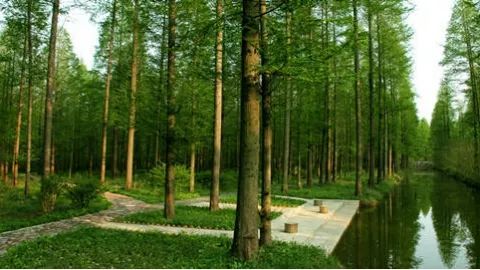 天气预警：2026年特别版