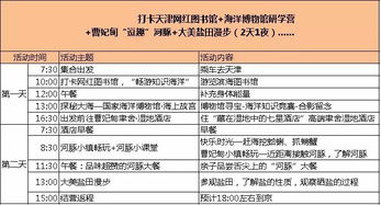 三、 服务流程优化与用户体验机制的学术解构