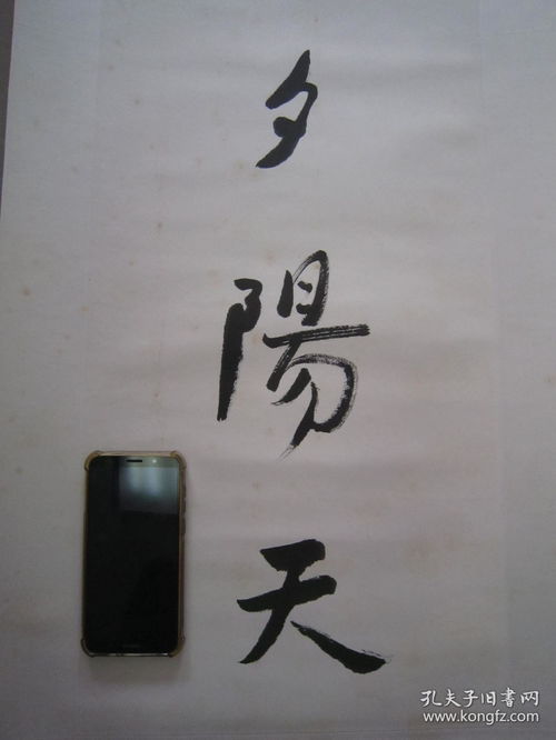 辛卯日柱精论中，为何会生不屑子？