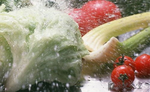 梦见洗菜预示着什么？周公解梦洗好多菜有什么特殊含义？