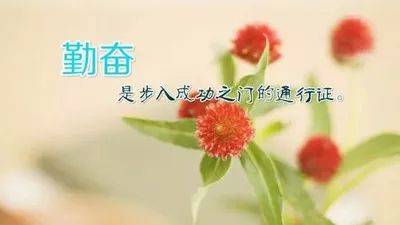 哪些星座蕞害怕婚姻，容易孤独终老，不愿被爱情束缚？