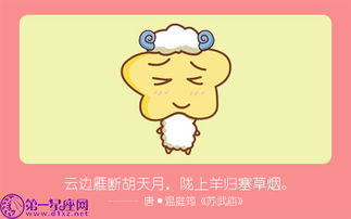 2.3 羊之视角