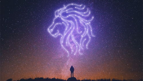 狮子座：精神洁癖驱动下的严格要求