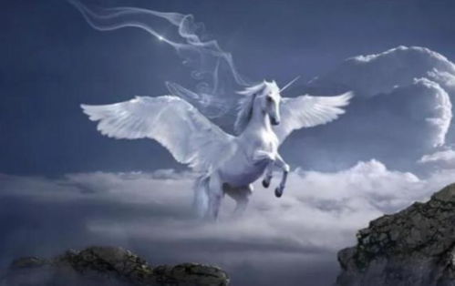 梦见大白蛇究竟预示着什么吉凶，它又代表着怎样的梦境寓意呢？