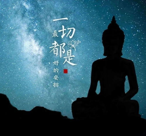神秘的死者