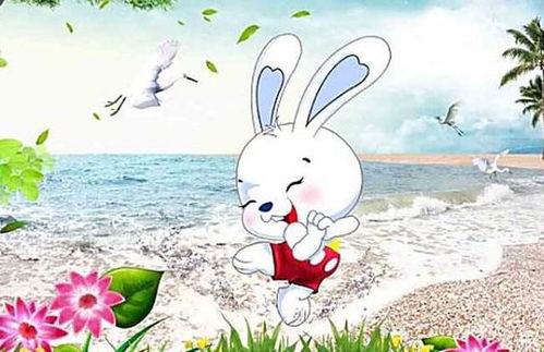 属兔人下半年运势具体方向和变化是怎样的？