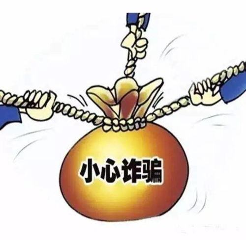 二、  实证案例分析：所谓“成功”背后的多重解释