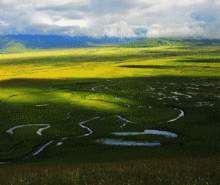 雾里看花是哪个生肖？云里雾里的生肖是什么意思？