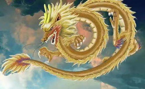 属龙人在蛇年过生日是否吉利，2026年属龙人的幸运颜色有何寓意？