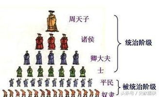 内容范畴与社会周边环境映照