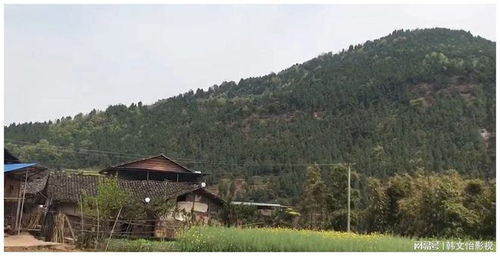 1.3 建筑活动对原有风水布局的影响