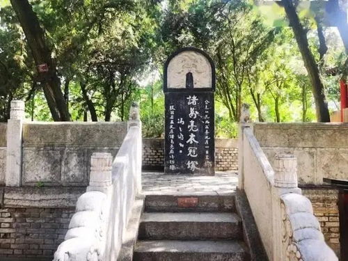 二十四山神秘断坟法如何应用于坟墓选址，有哪些具体断诀？