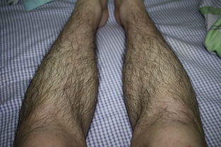 2. 小腿毛发旺盛——贵人运与福祉双全