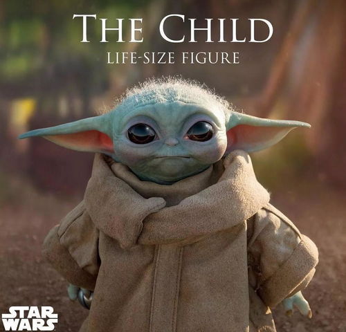 二、硬核数据来袭——姓名统计大杂烩（别问我怎么来的）