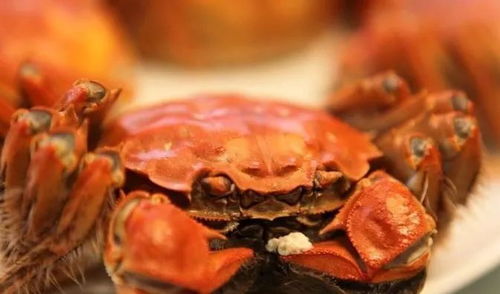 大闸蟹摆放在家中哪个位置最符合风水，螃蟹风水最佳摆放位置是哪里？