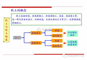 5．领导能力与监督职责的内涵