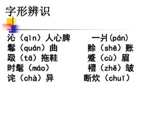 文本批判与方法论反思