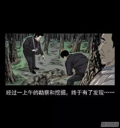 恐惧与反思